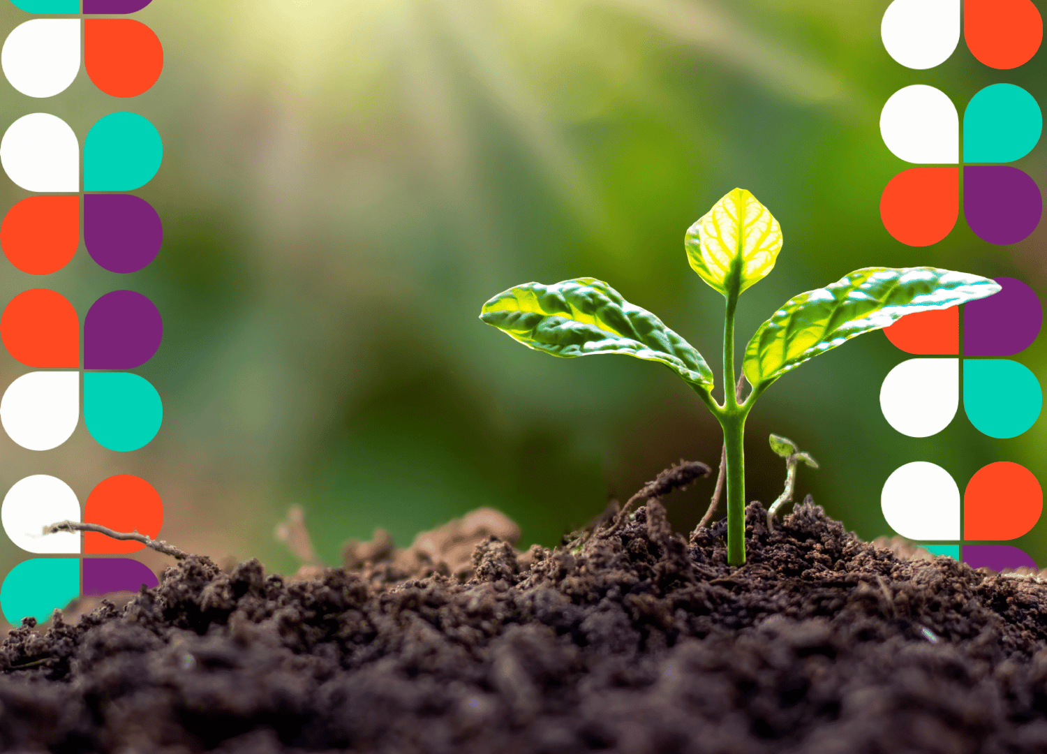 Junho Verde: como engajar empresas na sustentabilidade para o bem-estar coletivo